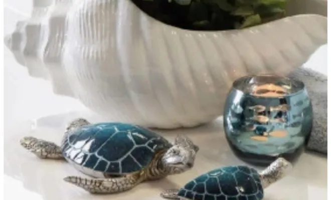 Décorations de tortues sous toutes ses formes proche de Béthune , Béthune, CARPE DIEM