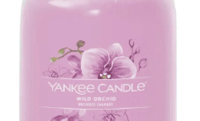 ✨3 nouvelles senteurs Yankee Candle✨ dans votre boutique proche de Béthune, Béthune, CARPE DIEM