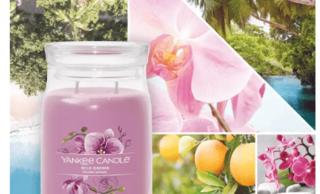 ✨3 nouvelles senteurs Yankee Candle✨ dans votre boutique proche de Béthune, Béthune, CARPE DIEM