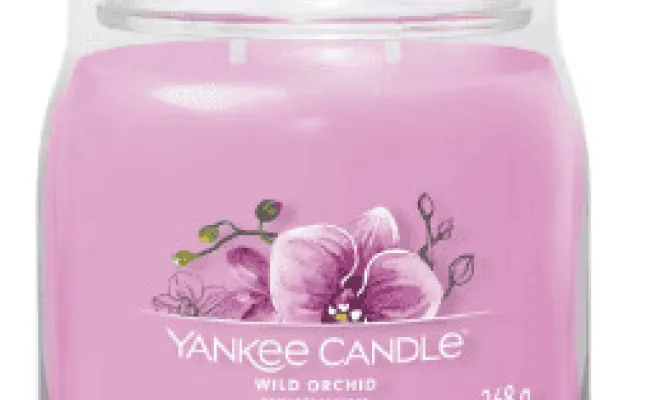 ✨3 nouvelles senteurs Yankee Candle✨ dans votre boutique proche de Béthune, Béthune, CARPE DIEM