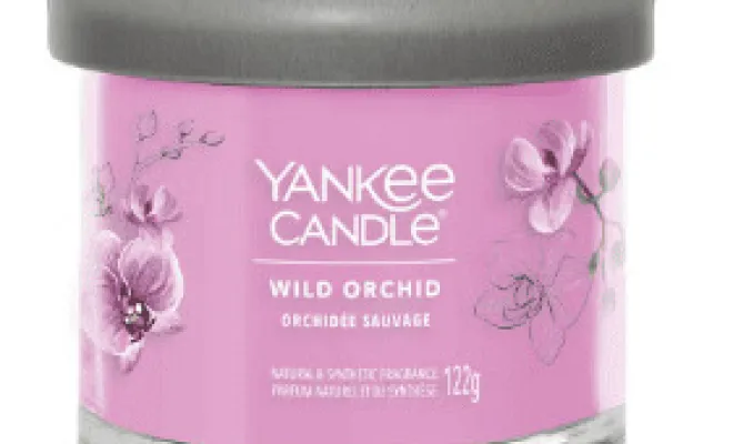 ✨3 nouvelles senteurs Yankee Candle✨ dans votre boutique proche de Béthune, Béthune, CARPE DIEM