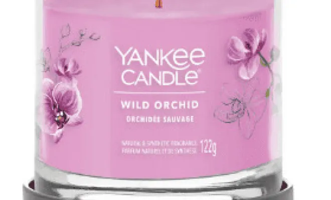 ✨3 nouvelles senteurs Yankee Candle✨ dans votre boutique proche de Béthune, Béthune, CARPE DIEM