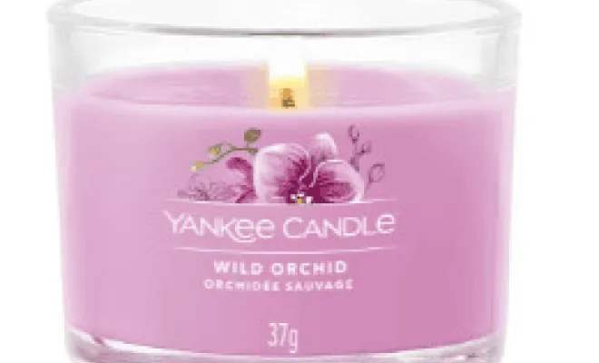 ✨3 nouvelles senteurs Yankee Candle✨ dans votre boutique proche de Béthune, Béthune, CARPE DIEM