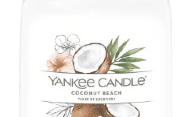 ✨3 nouvelles senteurs Yankee Candle✨ dans votre boutique proche de Béthune, Béthune, CARPE DIEM